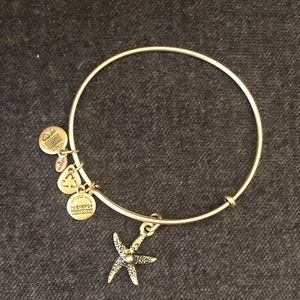 Alex and ani bracelet
